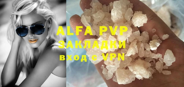 PSILOCYBIN Ладушкин