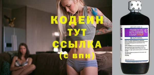 мдпв Лабытнанги