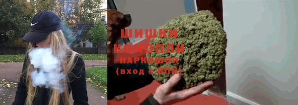 PSILOCYBIN Ладушкин