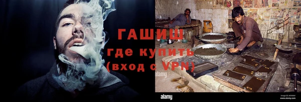 PSILOCYBIN Ладушкин