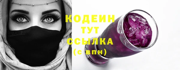 мдпв Лабытнанги