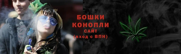 мдпв Лабытнанги