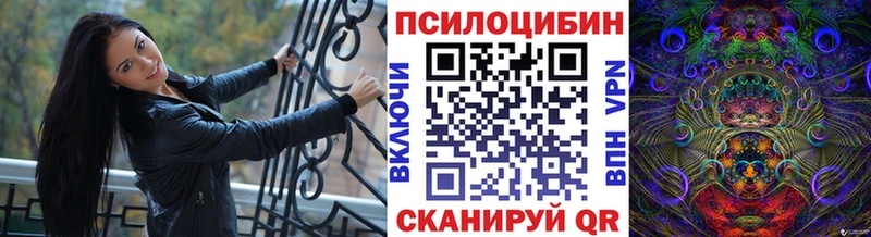 Псилоцибиновые грибы мухоморы  Купить закладки  Высоковск 